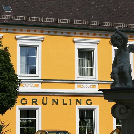 Gasthof Gruenling Wallsee Exteriér fotografie