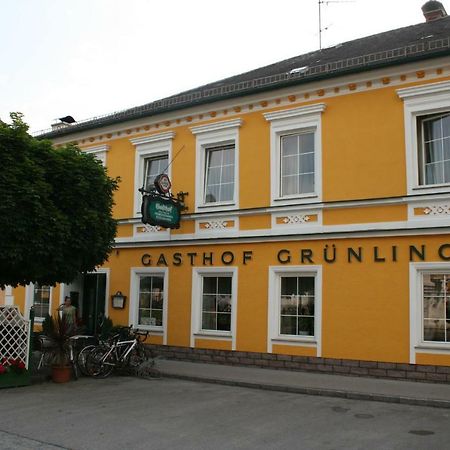 Gasthof Gruenling Wallsee Exteriér fotografie